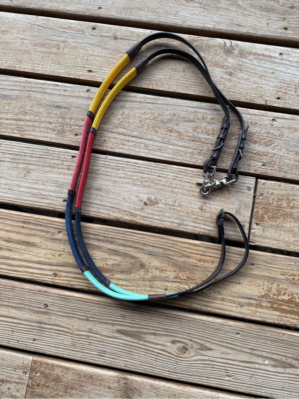 Rainbow reins